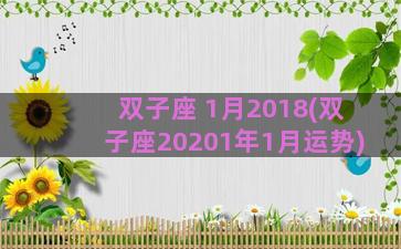 双子座 1月2018(双子座20201年1月运势)